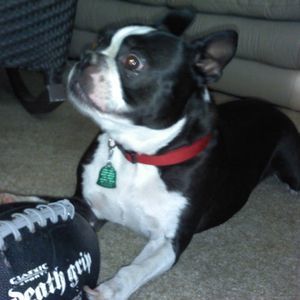 Meet your Posher, Debbie